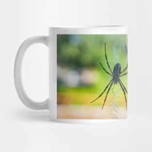 Garden Spider Mug